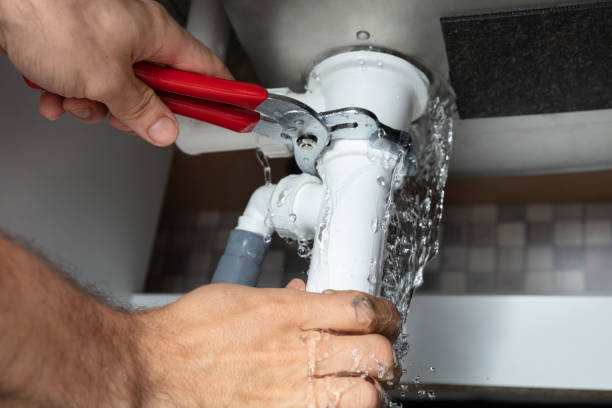 Best Flooded house restoration  in Pierz, MN