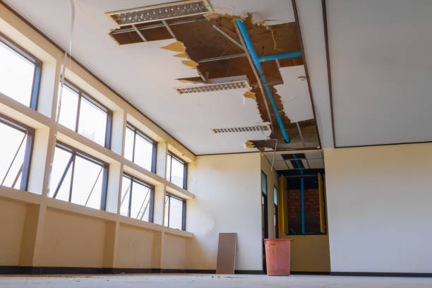 Best Water damage restoration near me  in Pierz, MN