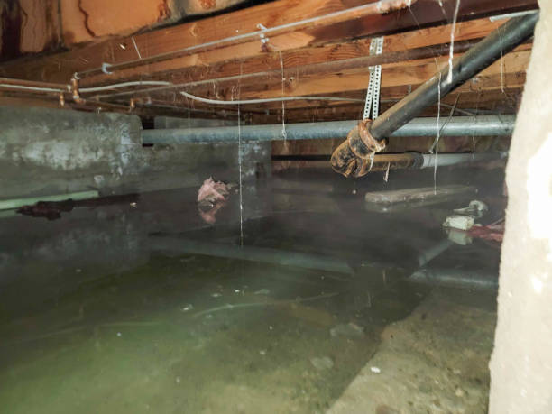 Sewage cleanup and water damage restoration in Pierz, MN