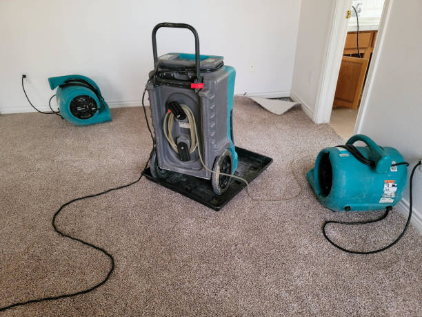Best Water damage repair service  in Pierz, MN