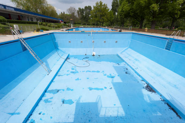 Best Flood damage cleanup  in Pierz, MN