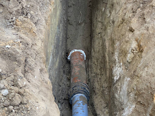 Best Water damage repair service  in Pierz, MN
