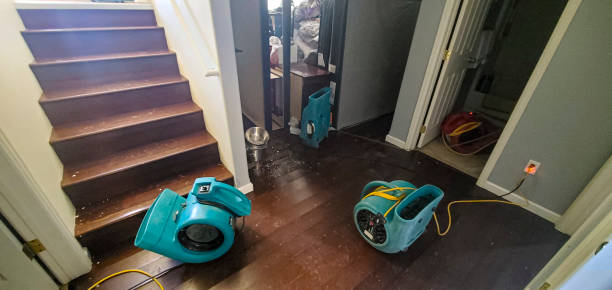 Best Water damage cleanup near me  in Pierz, MN