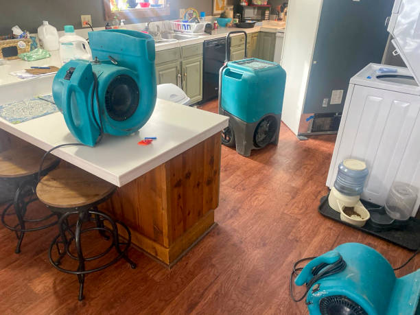 Reliable Pierz, MN Water damage restoration Solutions
