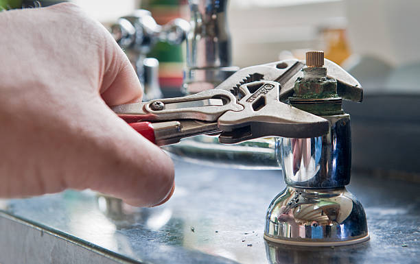 Best Water damage restoration near me  in Pierz, MN