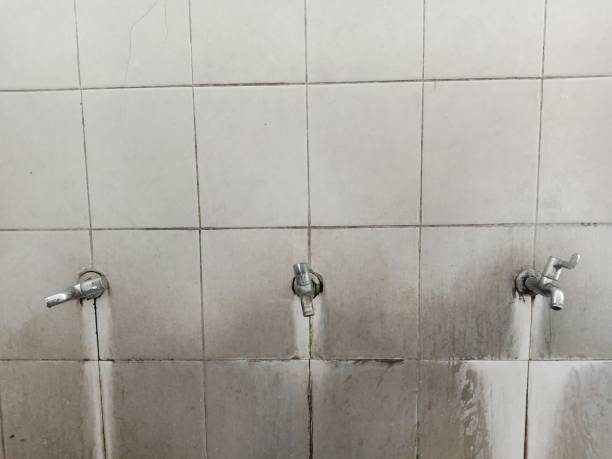 Best Basement water damage restoration  in Pierz, MN