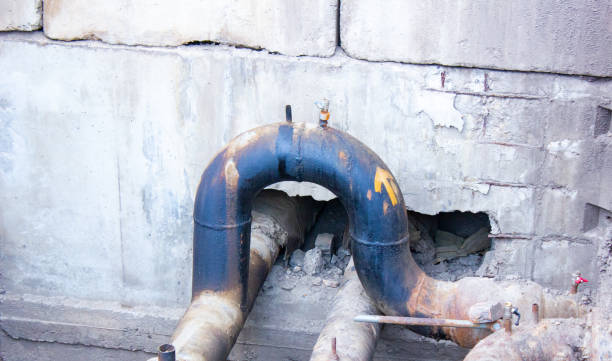 Best Commercial water damage restoration  in Pierz, MN