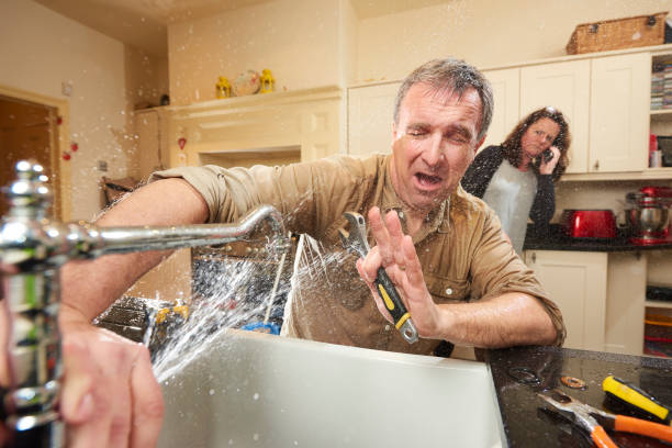 Best Fire Damage Restoration  in Pierz, MN